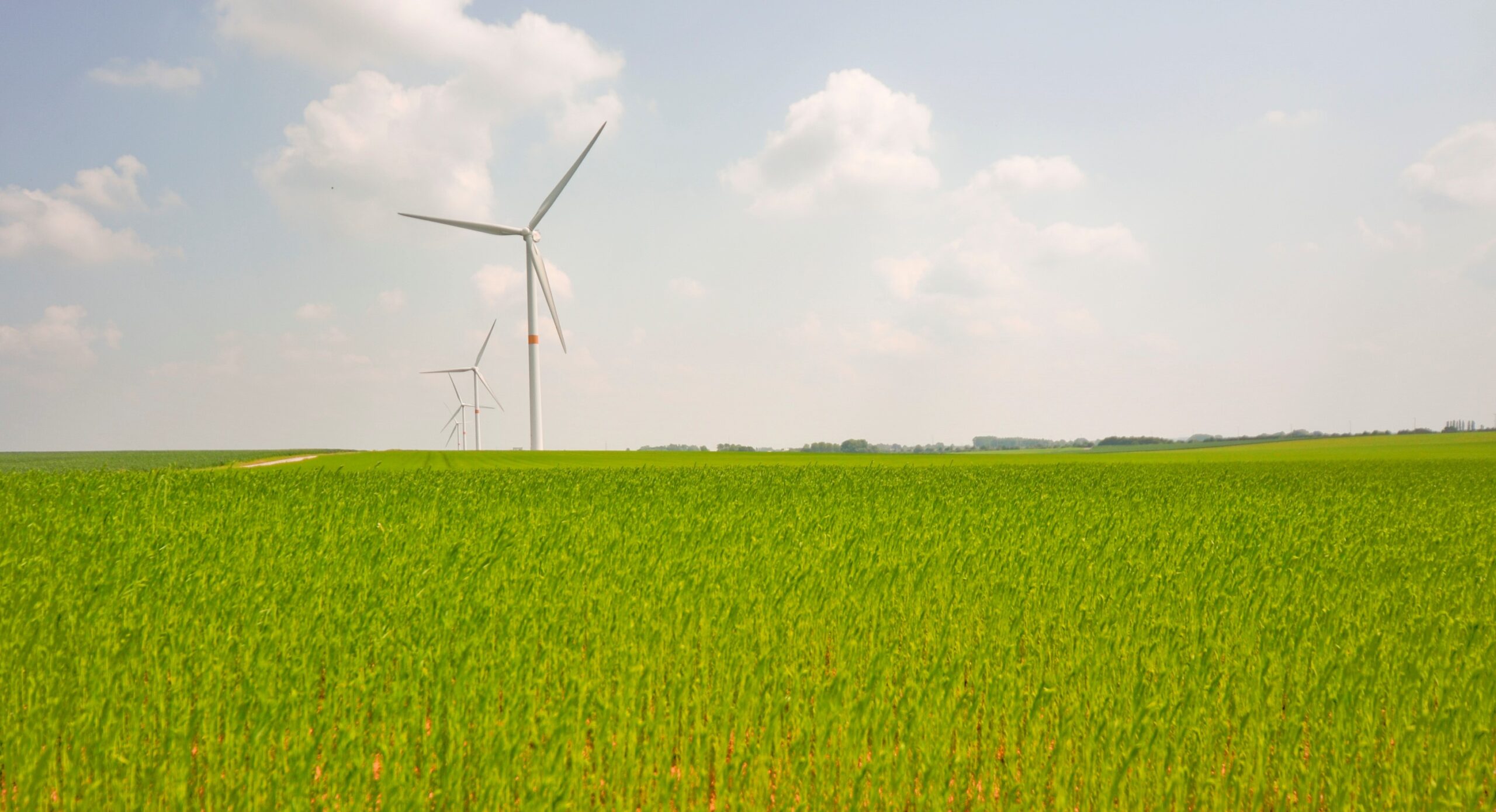 Energiekrise: Einsatz erneuerbarer Energien vorantreiben - Rainer ...